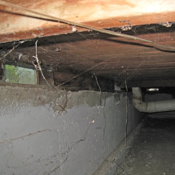 Crawl Space Water Extraction in Celina, TX