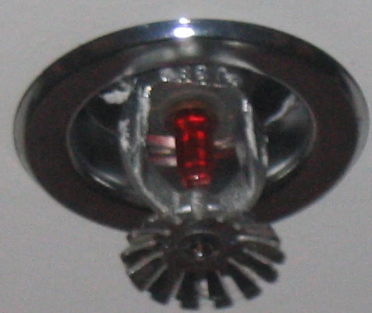 Sprinkler System Water Removal in Celina, TX