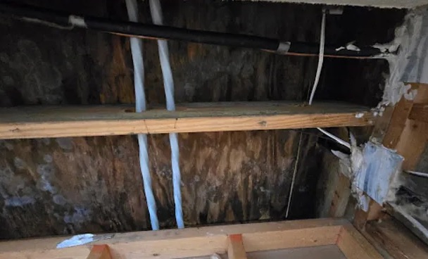 Attic Water Extraction in Richland Hills, TX