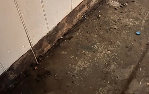 Biohazard and Trauma Cleanup in Grand Prairie, TX